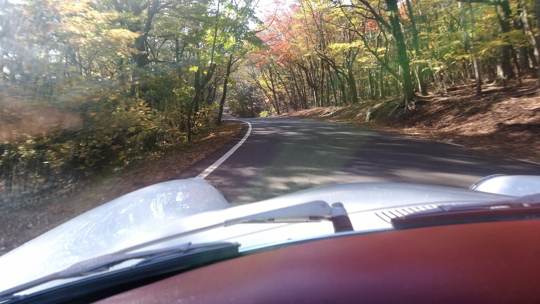 イメージ 9