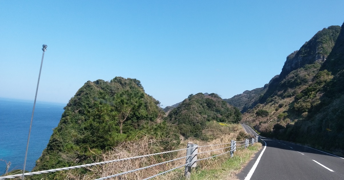 イメージ 5